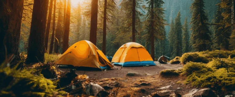 Comment choisir le site idéal pour un séjour camping zéro carbone